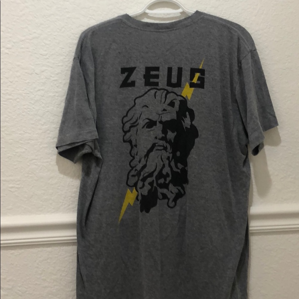 Rogue grey Zeus tee